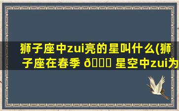 狮子座中zui
亮的星叫什么(狮子座在春季 💐 星空中zui
为明 🦆 显)